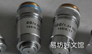 物镜和目镜的区别 物镜和目镜的区别图像