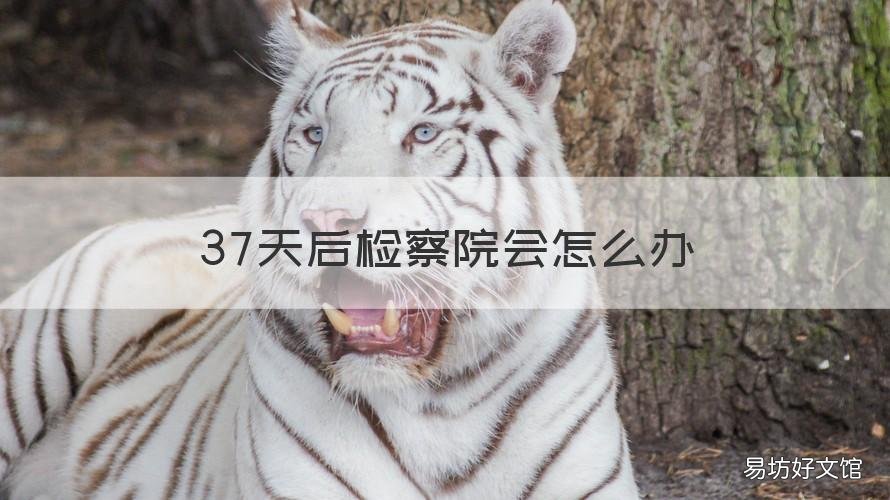 37天后检察院会怎么办 37天检察院会有什么结果