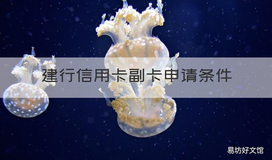 建行信用卡副卡申请条件 办信用卡副卡需要什么条件