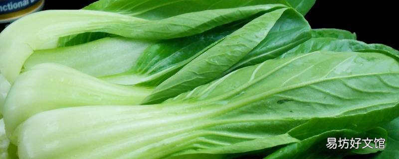 为什么不能选鲜嫩的油菜 比较嫩的油菜能吃吗