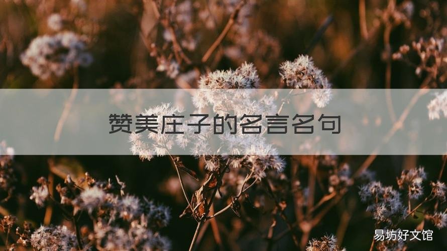 赞美庄子的名言名句 赞美庄子的名言名句大全