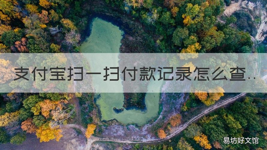 支付宝扫一扫付款记录怎么查 支付宝扫码付款记录怎么查