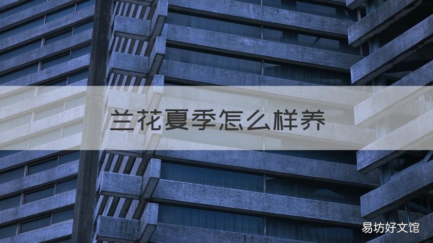 兰花夏季怎么样养 兰花夏季怎么样养殖
