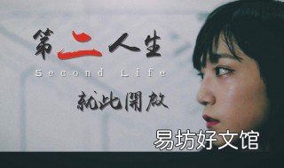 第二人生大结局什么 第二人生到底讲了什么