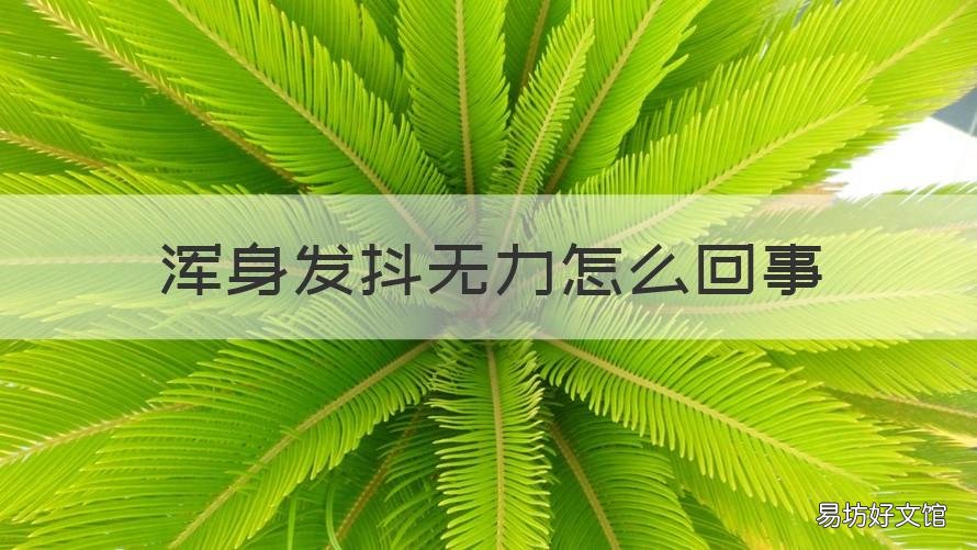 浑身发抖无力怎么回事 浑身发抖无力怎么回事吃什么药