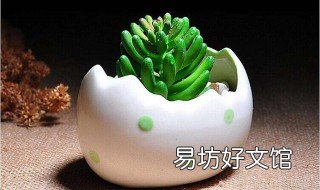 梦见花盆坏了有什么征兆 梦见烂花盆