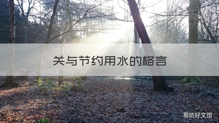 关与节约用水的格言 关与节约用水的格言有哪些