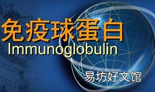 免疫球蛋白副作用 人体免疫球蛋白副作用