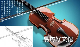 小提琴弹弦怎么称呼? 小提琴拉弦的叫什么