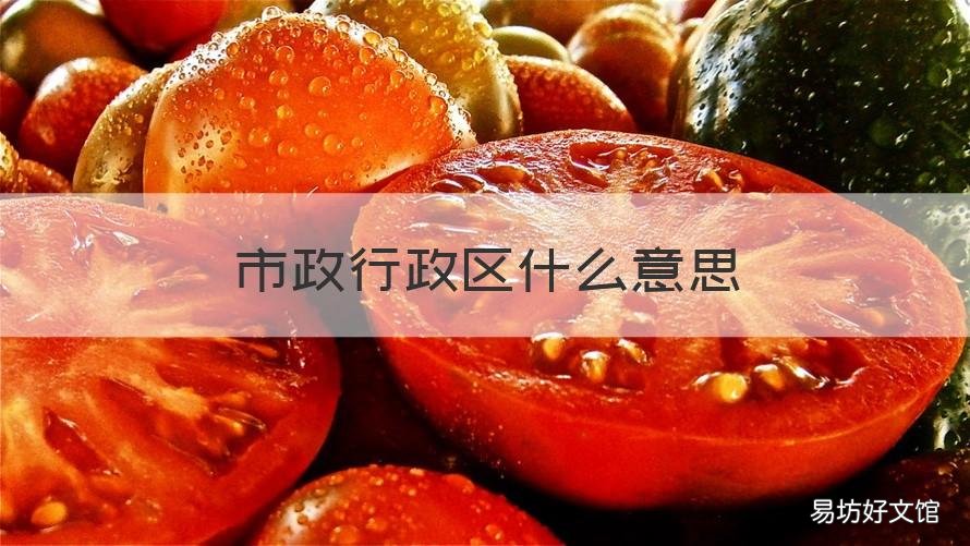 市政行政区什么意思 市政行政区是啥