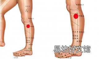 阳陵泉针刺手法 阳陵泉下针