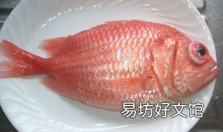 大眼鲷鱼的做法 大眼黑鲷鱼做法