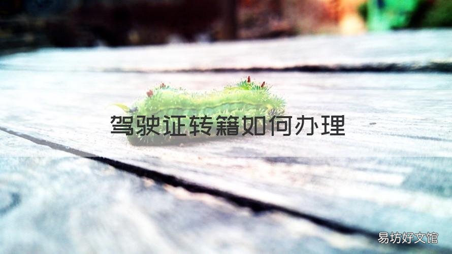 驾驶证转籍如何办理 驾驶证转籍如何办理12123