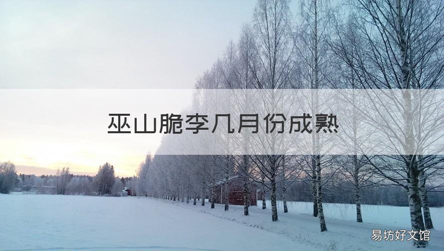 巫山脆李几月份成熟 巫山脆李几月份可以吃