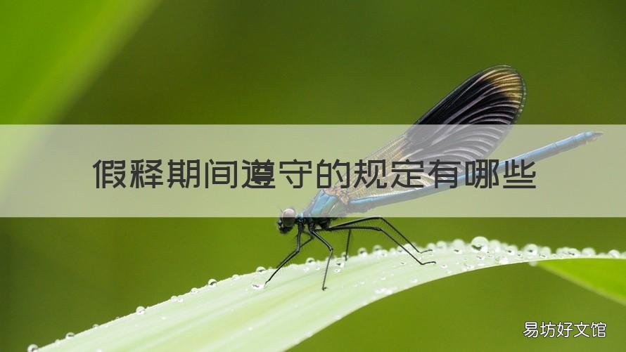 假释期间遵守的规定有哪些 假释期间遵守的规定有哪些呢