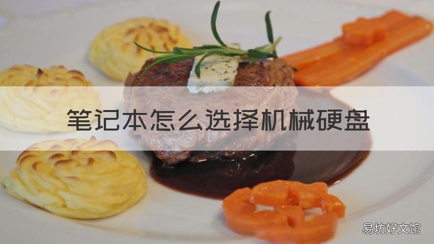 笔记本怎么选择机械硬盘 笔记本怎么选择机械硬盘型号