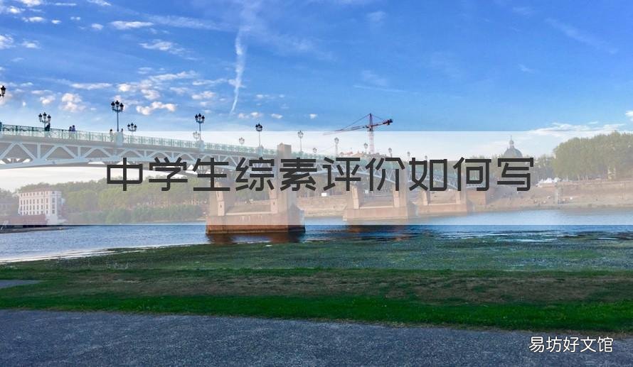 中学生综素评价如何写 中学生综素评价如何写好