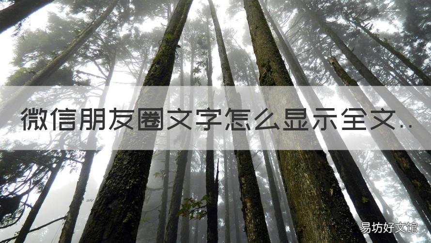 微信朋友圈文字怎么显示全文 微信朋友圈文字怎么显示全文折叠