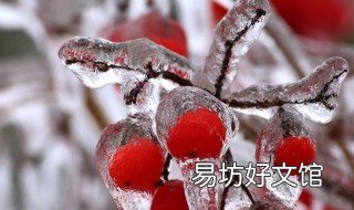 水结冰后有哪些变化 水结冰后有哪些变化温度变化体积变化形状变化其他变化