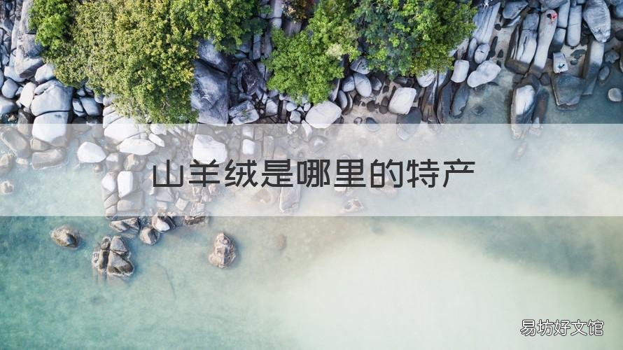 山羊绒是哪里的特产 山羊绒最好的产地