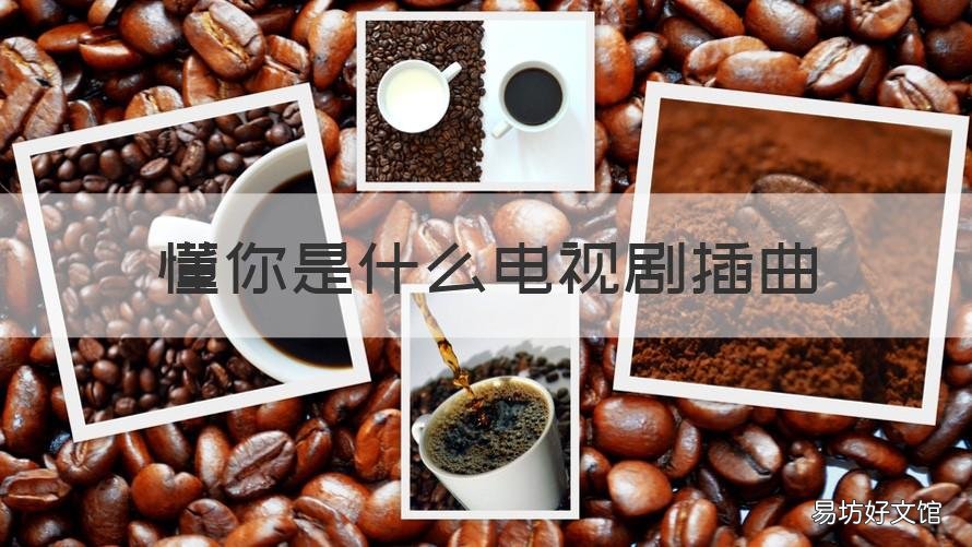 懂你是什么电视剧插曲 懂你是什么电视剧插曲名字