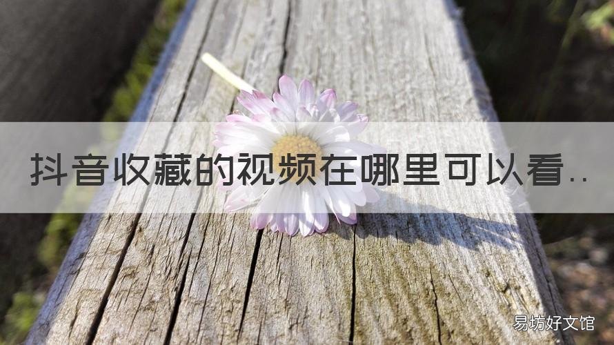 抖音收藏的视频在哪里可以看 抖音收藏的视频在哪里可以看呢