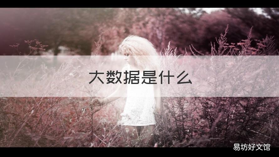 大数据是什么 大数据是什么学院