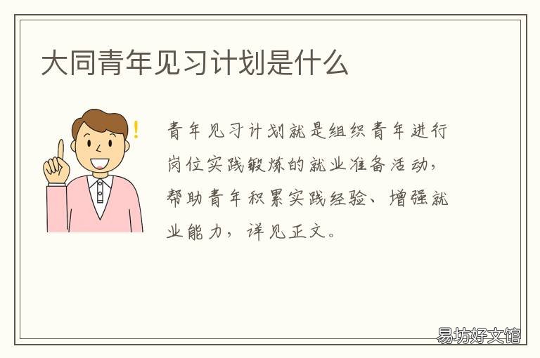 大同青年见习计划是什么