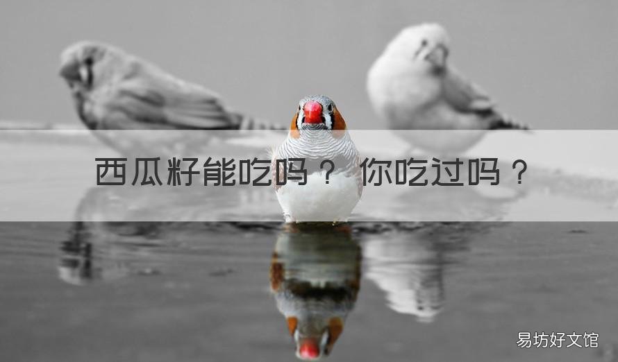 西瓜籽能吃吗 你吃过吗 西瓜可以吃籽吗