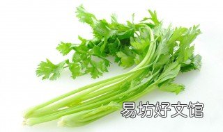 芹菜种植方法 芹菜种植方法与管理