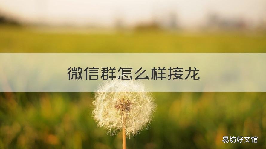 微信群怎么样接龙 微信群怎么样弄接龙