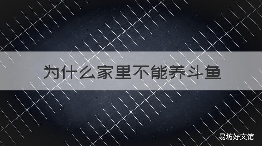 为什么家里不能养斗鱼 家里可以养斗鱼不