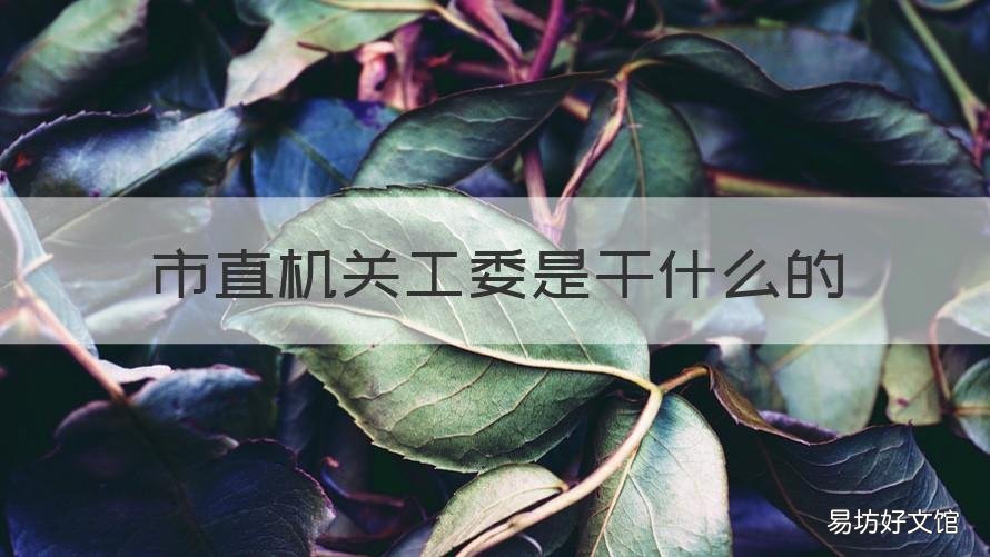 市直机关工委是干什么的 市直属机关工委是干嘛的