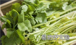 四斤芹菜的腌制小技巧 芹菜咋腌制好吃
