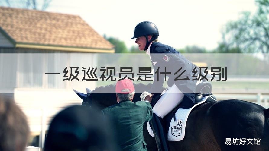 一级巡视员是什么级别 一级巡视员和二级巡视员区别