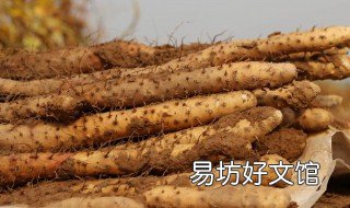 铁棍山药怎么挑才好 铁棍山药怎么挑才好吃