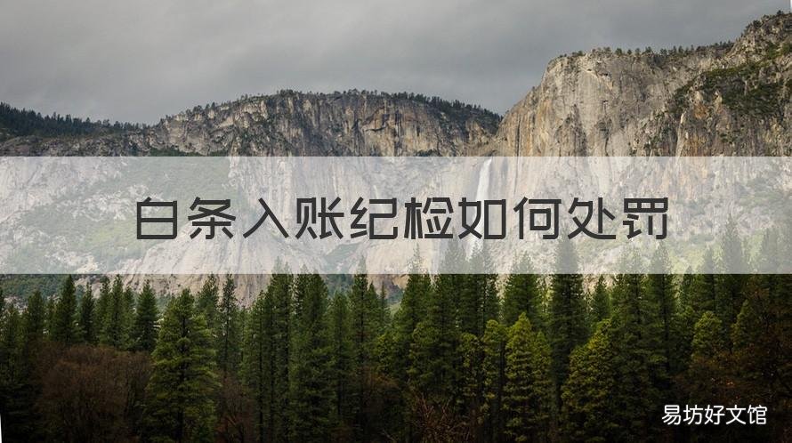 白条入账纪检如何处罚 行政单位白条入账违反什么财经纪律