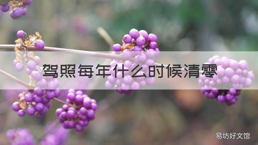 驾照每年什么时候清零 驾照每年什么时候清零?