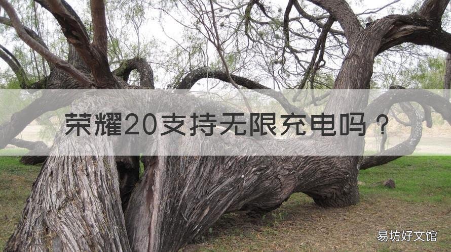 荣耀20支持无限充电吗 荣耀20可以无限充电吗