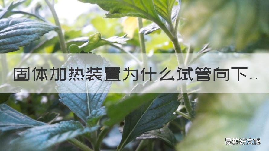 固体加热装置为什么试管向下 固体加热时为什么试管口向下