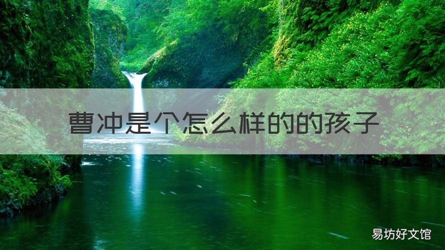 曹冲是个怎么样的的孩子 曹冲是个什么样的人孩子