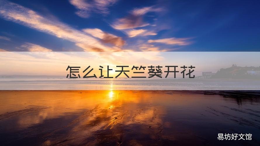 怎么让天竺葵开花 天竺葵花怎么栽