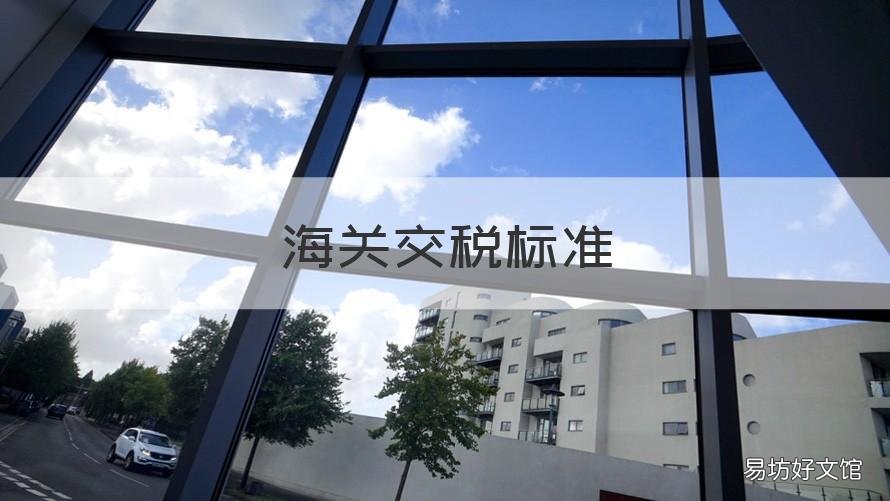 海关交税标准 海关交税标准 书籍写真