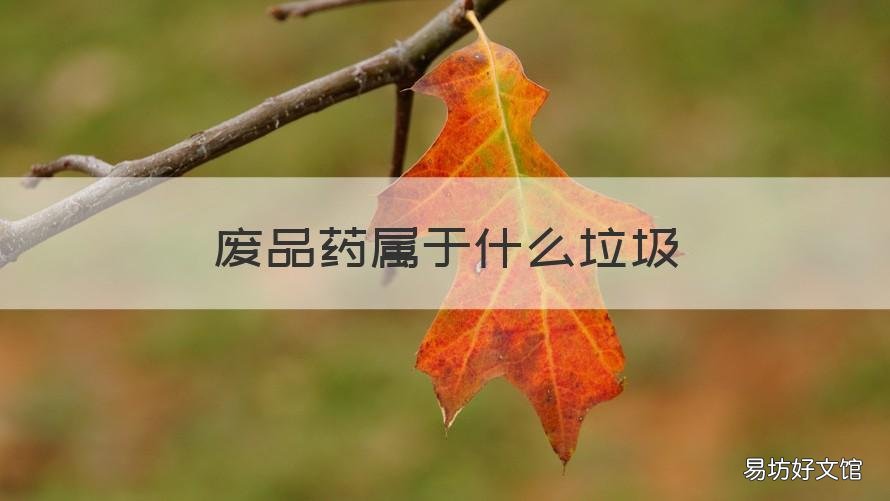废品药属于什么垃圾 废物药品属于什么垃圾
