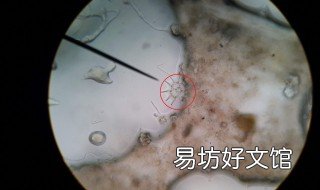 活性污泥培养方法 活性污泥培养方法包含