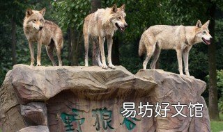 榆林野生动物园在哪 榆林野生动物园开放时间