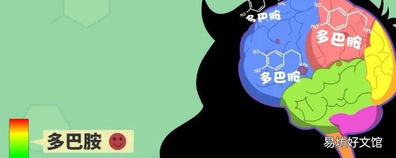 抽烟和谈恋爱都会产生什么 谈过恋爱吗?吸过烟吗