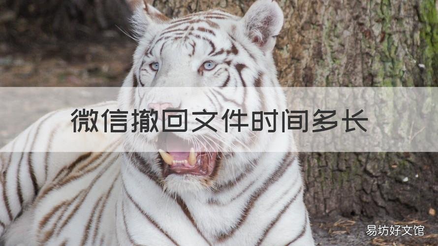 微信撤回文件时间多长 微信的文件多长时间可以撤回