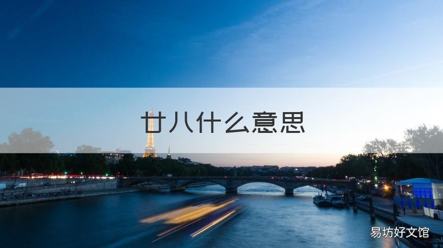 廿八什么意思 二十八啥意思