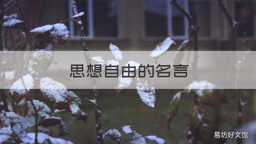 思想自由的名言 关于思想自由的名言